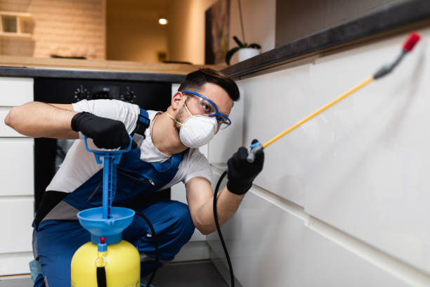 Best Local Pest Control Services  in Fort Meade, FL