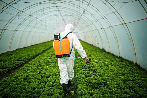 Insect Control in Fort Meade, FL