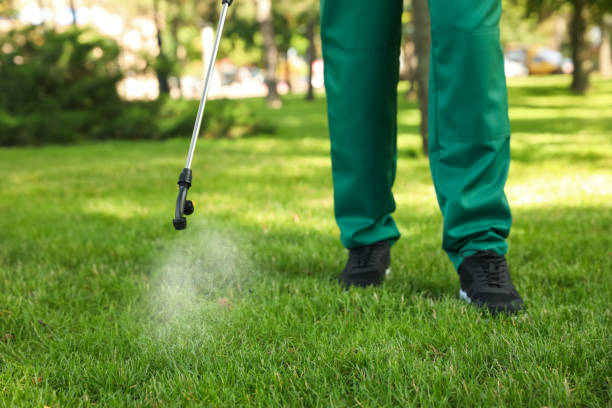 Best Affordable Pest Control Services  in Fort Meade, FL