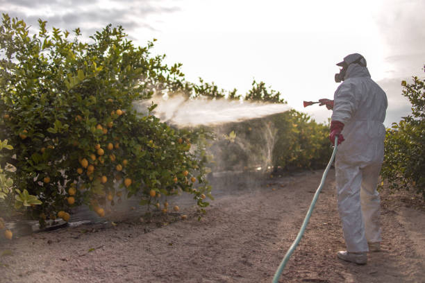 Reliable Fort Meade, FL Pest Control Solutions