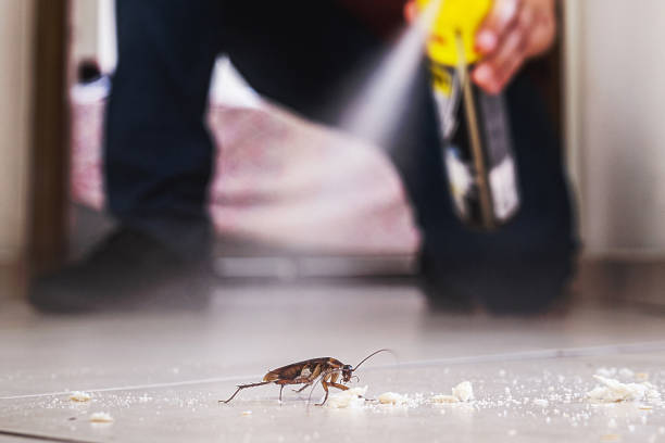 Trusted Fort Meade, FL Pest Control Experts